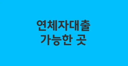 연체자대출 신청 전 연체금액 정리하기